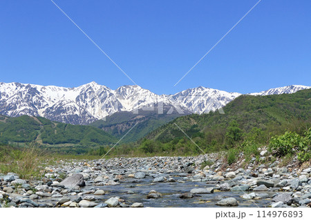 白馬の5月　山麓から望む残雪の北アルプス 114976893
