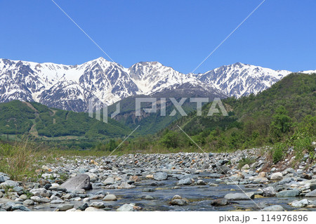 白馬の5月 山麓から望む残雪の北アルプス 白馬の5月 山麓から望む残雪の北アルプス 114976896