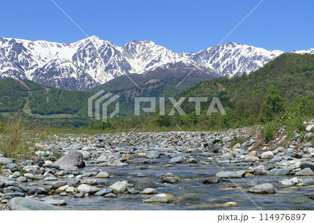 白馬の5月 山麓から望む残雪の北アルプス 白馬の5月 山麓から望む残雪の北アルプス 114976897