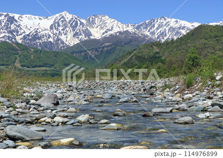白馬の5月 山麓から望む残雪の北アルプス 白馬の5月 山麓から望む残雪の北アルプス 114976899