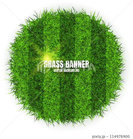 Green grass banners, background. Field, meadow texture, grassy landscape. Football playing pitch, soccer field. Sports ground, stadium. Ecology and environment protection. Vector illustration Green grass banners, background. Field, meadow texture, grassy landscape. Football playing pitch, soccer field. Sports ground, stadium. Ecology and environment protection. Vector illustration 114976900