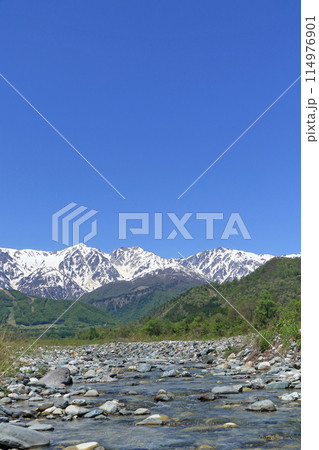 白馬の5月 山麓から望む残雪の北アルプス 白馬の5月 山麓から望む残雪の北アルプス 114976901