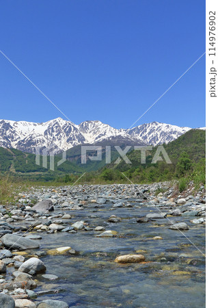 白馬の5月 山麓から望む残雪の北アルプス 白馬の5月 山麓から望む残雪の北アルプス 114976902