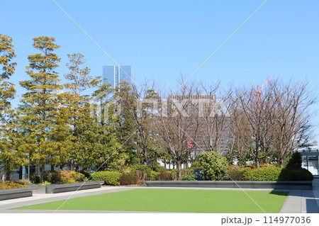 銀座のど真ん中にある簡素な美しい屋上庭園 114977036