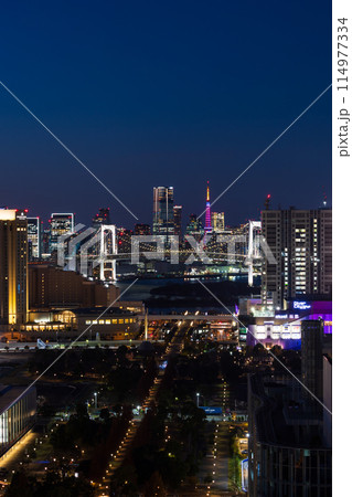 東京夜景　テレコムセンター展望室からの夜景 114977334
