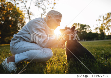cheerful senior woman person hugging and kissing cute adorable miniature schnauzer dog, love of people and domestic animals cheerful senior woman person hugging and kissing cute adorable miniature schnauzer dog, love of people and domestic animals 114977495