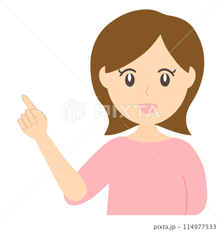 ポイントを指差して笑顔で説明する女性のベクターイラスト ポイントを指差して笑顔で説明する女性のベクターイラスト 114977533