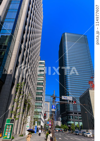 東京 中央区 八重洲一丁目交差点付近の都市風景 東京 中央区 八重洲一丁目交差点付近の都市風景 114977607