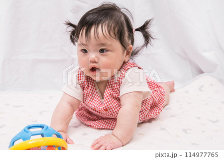 【はいはいを始めるツインテールの赤ちゃん】 114977765