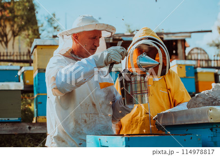 Beekeepers checking honey on the beehive frame in the field. Small business owners on apiary. Natural healthy food produceris working with bees and beehives on the apiary. 114978817