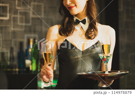 バニーガール　ボーイ 114978879