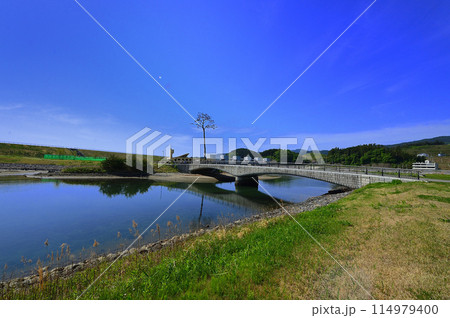 奇跡の一本松(岩手県陸前高田市) 奇跡の一本松(岩手県陸前高田市) 114979400