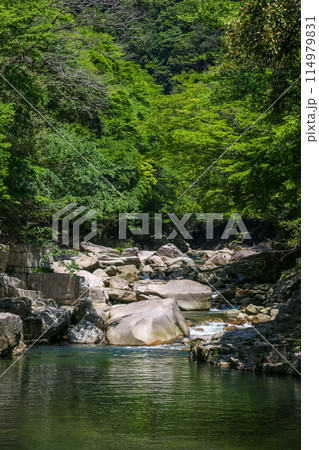 奥津渓 奥津渓 114979831