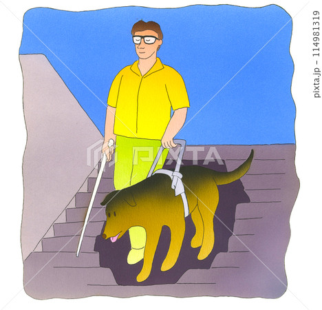 盲導犬を連れる男性 114981319