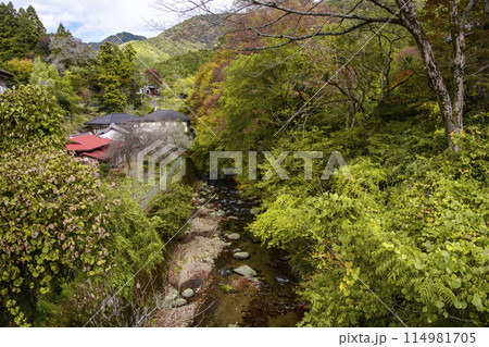 紅葉の煤ケ谷谷太郎沢の風景 紅葉の煤ケ谷谷太郎沢の風景 114981705