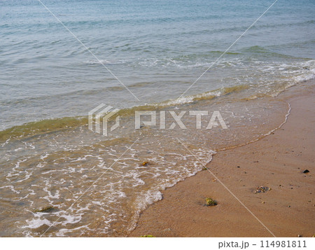 砂浜に打ち寄せる波（4）【兵庫県淡路市／多賀の浜海水浴場】 114981811