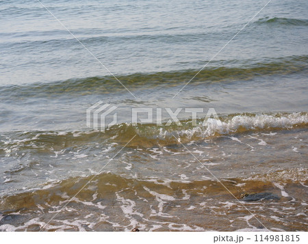 海の透明な波(1)【兵庫県淡路市/多賀の浜海水浴場】 海の透明な波(1)【兵庫県淡路市/多賀の浜海水浴場】 114981815