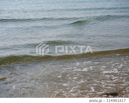 海の透明な波(2)【兵庫県淡路市/多賀の浜海水浴場】 海の透明な波(2)【兵庫県淡路市/多賀の浜海水浴場】 114981817