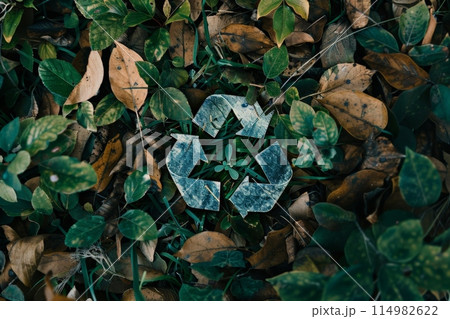 A plantthemed recycling symbol surrounded by lush green leaves A plantthemed recycling symbol surrounded by lush green leaves 114982622