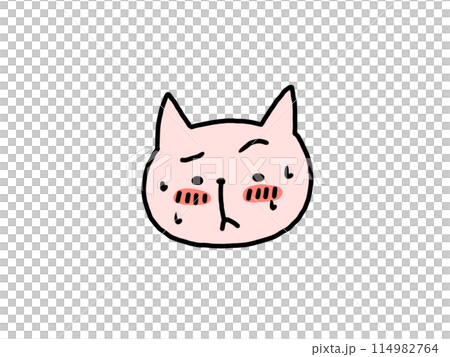 恥ずかしい猫 114982764