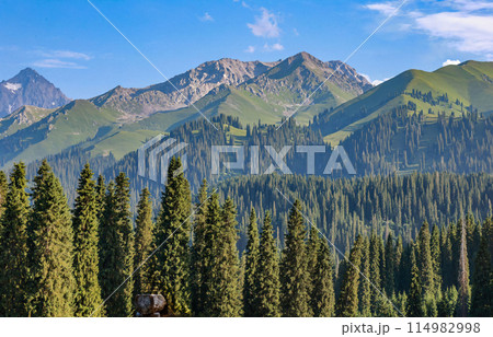 Verdant Mountain Majesty 114982998