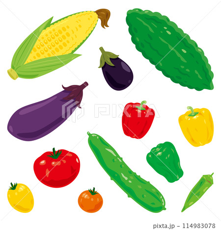 夏野菜セットのイラスト素材 [114983078] - PIXTA