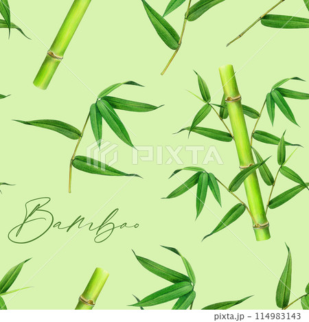 Bamboo plant elements seamless pattern decor. Watercolor illustration. Hand painted bamboo stem, green leaf botanical seamless pattern decoration. Light green background Bamboo plant elements seamless pattern decor. Watercolor illustration. Hand painted bamboo stem, green leaf botanical seamless pattern decoration. Light green background 114983143
