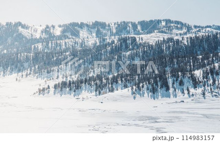 Wintry Forested Hills Wintry Forested Hills 114983157