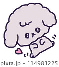 うるうるの目でへそ天して甘えているかわいいトイプードルの子犬のイラスト 114983225