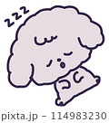 ヘソ天で寝ているかわいいトイプードルの子犬のイラスト 114983230