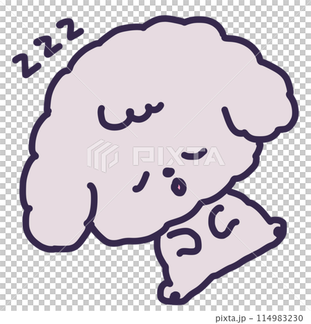 一隻可愛的玩具貴賓犬睡在肚臍上的插圖 114983230