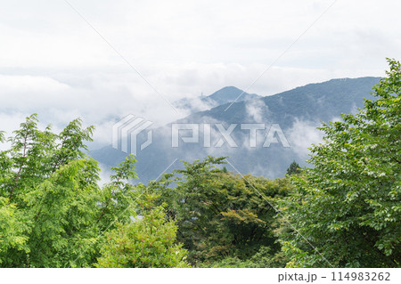 【日本】御岳山の展望台から望む緑の木々と雲が漂う山並み 114983262
