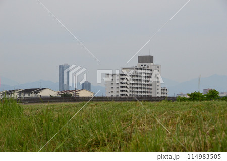 初夏の浅川　八王子市　 114983505