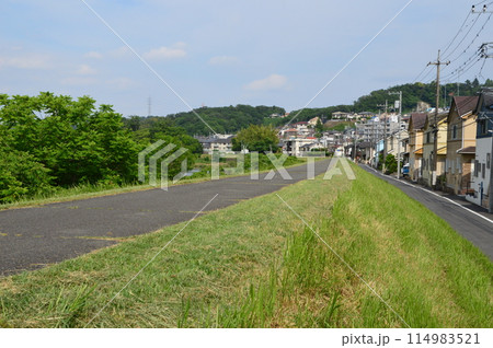 初夏の浅川 八王子市 初夏の浅川 八王子市 114983521