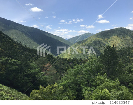 緑が眩しい晴れた日の山々 114983547