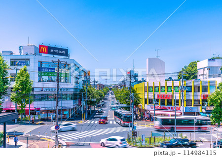 日本の横浜都市景観 5月・新緑の季節を迎えたあざみ野駅前などを望む 日本の横浜都市景観 5月・新緑の季節を迎えたあざみ野駅前などを望む 114984115