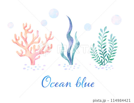 おしゃれな海藻と珊瑚のイラスト素材 114984421