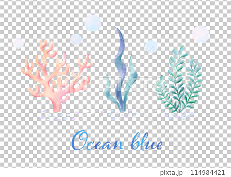 おしゃれな海藻と珊瑚のイラスト素材 114984421