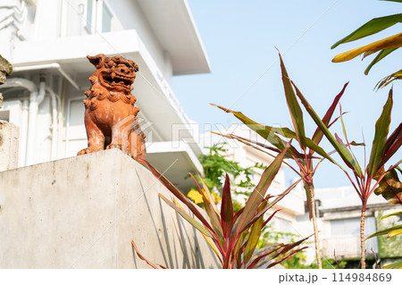 Shisa guardian lion at Naha Tsuboya Yachimun street in Okinawa, Japan Shisa guardian lion at Naha Tsuboya Yachimun street in Okinawa, Japan 114984869
