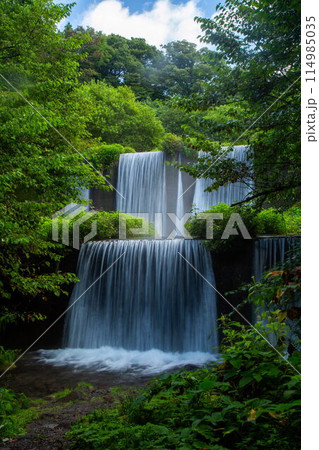 木谷沢渓流の新緑 114985035