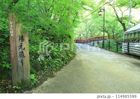 伊香保温泉　「湯元通り」　　 114985399