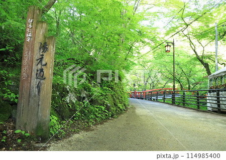 伊香保温泉 「湯元通り」 伊香保温泉 「湯元通り」 114985400
