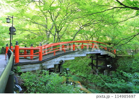 伊香保温泉湯元付近の「河鹿橋」（かじかばし） 114985697