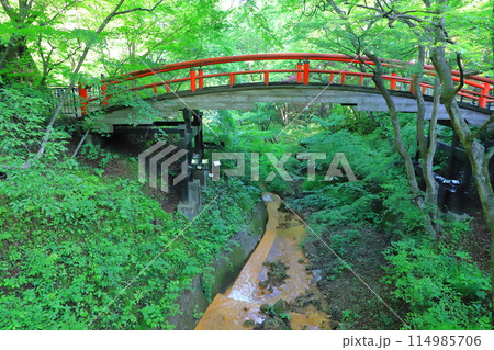 伊香保温泉湯元付近の「河鹿橋」（かじかばし） 114985706