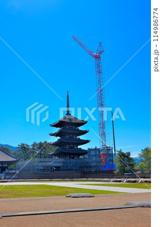 工事に入った興福寺 五重塔 工事に入った興福寺 五重塔 114986774