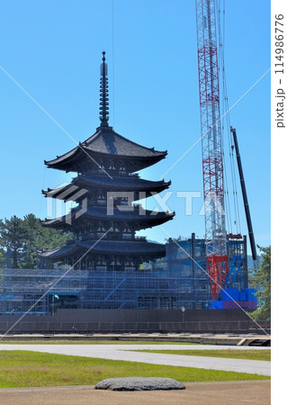 工事に入った興福寺 五重塔 工事に入った興福寺 五重塔 114986776