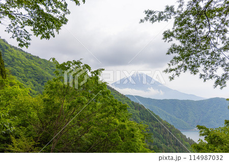 山の中腹から見た西湖と富士山 山の中腹から見た西湖と富士山 114987032