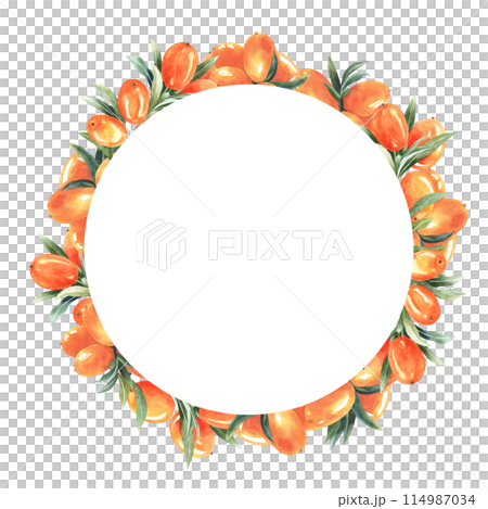 Circular sea buckthorn frame autumn wreath of berries frame decoration. Hand drawn round wreath. Decorative element for greeting card. Isolated on white background 114987034