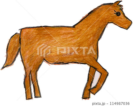 友人が書いた馬の頭部の色鉛筆イラスト 友人が書いた馬の頭部の色鉛筆イラスト