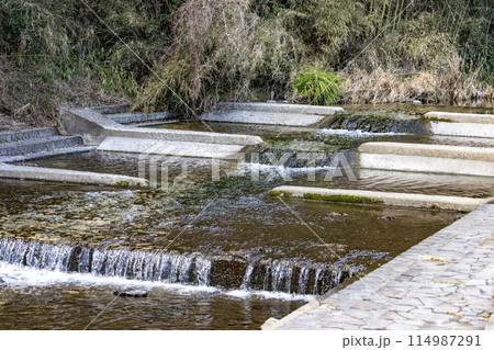 茨城県日立市 諏訪梅林内の鮎川 茨城県日立市 諏訪梅林内の鮎川 114987291